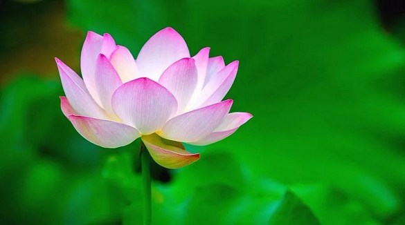 1620809718363832.jpg 52.jpg