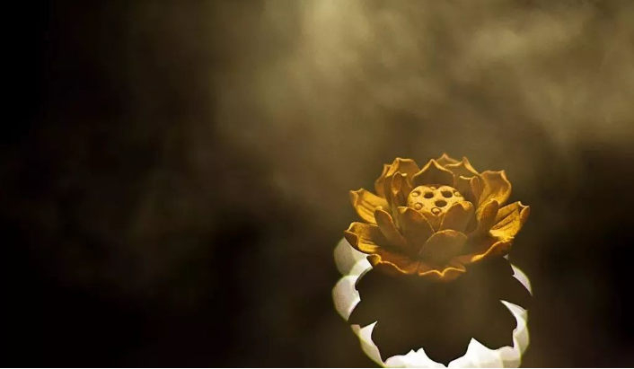 修行用此三秘诀,将来一定会有成就