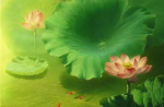 智慧开了，是一种什么感觉?