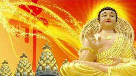 1627350796714718.jpg 054101015A60268D8B7B449CF699776C.jpg