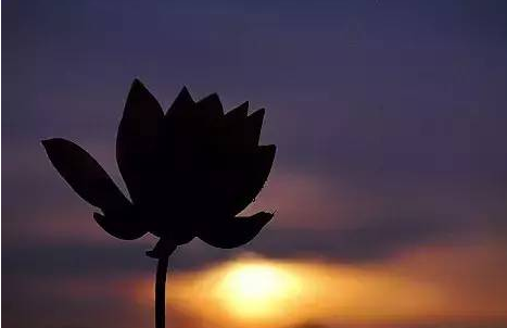 1627455335700815.png 微信图片_20210512102226.png