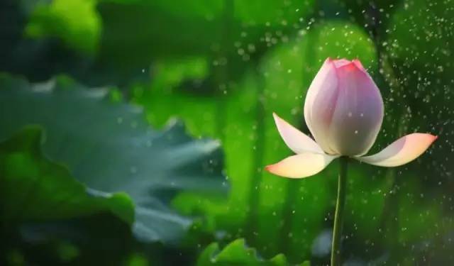 1627456248251486.jpg 1000 (2).jpg