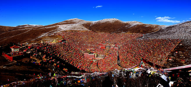 1627538878784568.jpg 1608355499786838.jpg