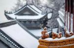 学会放弃你会幸福