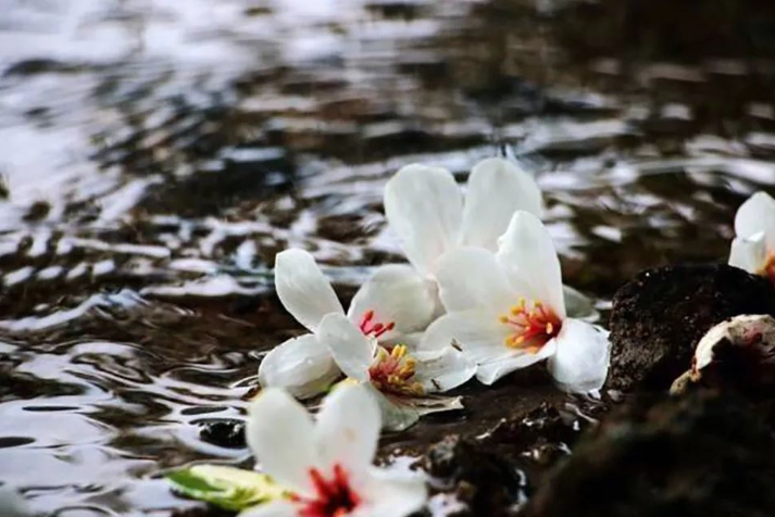 1627609557406788.png 微信图片_20210512102239.png