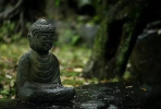 佛教相信在劫难逃、在数难逃之说吗？