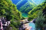 亦舒：一样一句