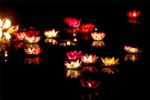 圣凯法师：道德与智慧