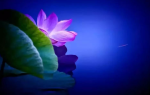 为幸福着想