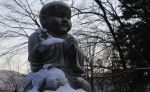 人生有八苦，指的是哪八种苦？