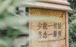 舍弃浮躁，人生才能淡定如水