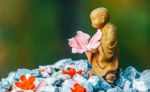 看到别人过得很好就嫉妒，有什么方法能减少嫉妒心？
