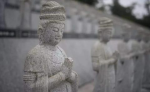 逆来顺受是要用智慧和愿力的
