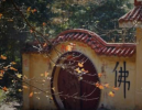 你执着什么，就对治什么