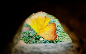 人之所以感觉不到幸福与快乐