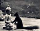 【众生】的意思是什么？佛教中的众生指的是什么？