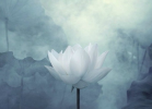天女持戒