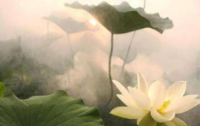 放下、看开，人生自会快乐