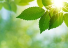 《楞严经》轻松学 卷九（之十一）