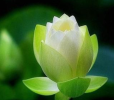 《楞严经》轻松学 卷二（之十二）