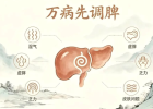 人体说明书①&mdash;&mdash;脾经：万病先调脾！养好后天之本，湿气、虚胖、乏力、皮肤问题全改善